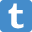 Tumblr icon