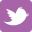 Twitter icon